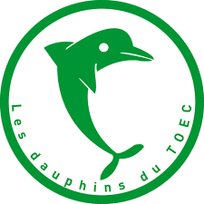 TOEC Logo